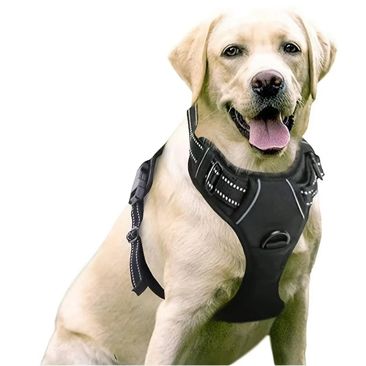 Dog Harness with 2 Leash Clips - Global Pet Store