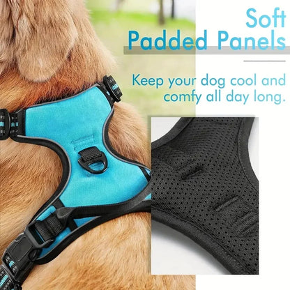 Dog Harness with 2 Leash Clips - Global Pet Store